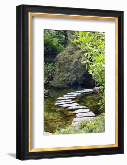 Autumn Color, Stepping Stones, Butchard Gardens, Victoria, British Columbia, Canada-Terry Eggers-Framed Photographic Print