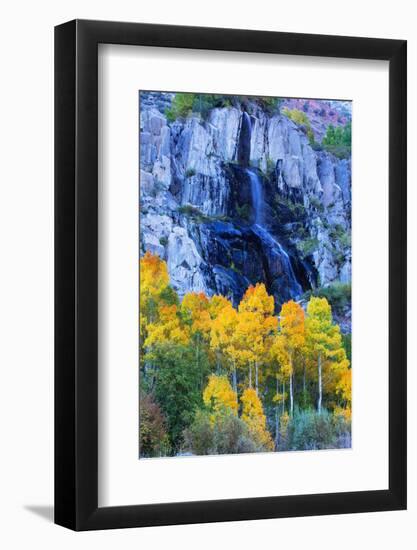 Autumn Color Waterfall Bishop Creek Canyon Eastern Sierras California-Vincent James-Framed Photographic Print