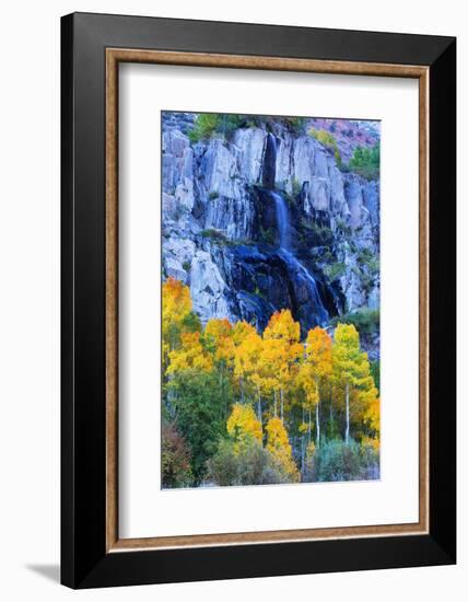 Autumn Color Waterfall Bishop Creek Canyon Eastern Sierras California-Vincent James-Framed Photographic Print