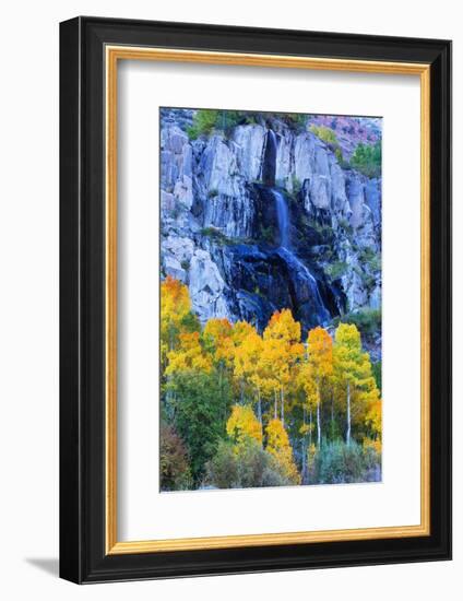 Autumn Color Waterfall Bishop Creek Canyon Eastern Sierras California-Vincent James-Framed Photographic Print