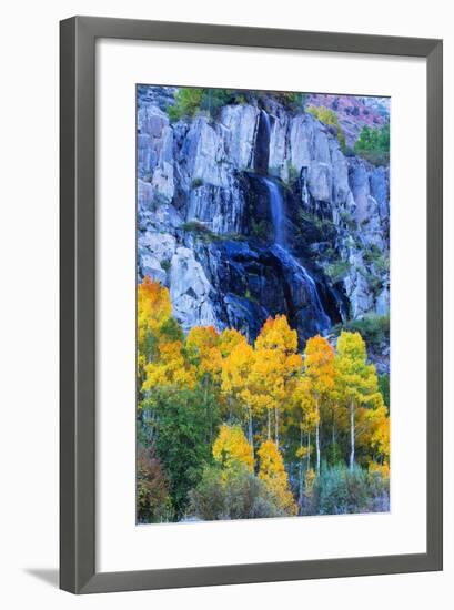 Autumn Color Waterfall Bishop Creek Canyon Eastern Sierras California-Vincent James-Framed Photographic Print