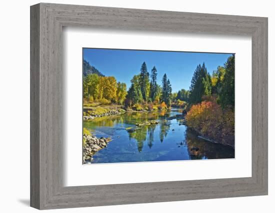 Autumn color, White River, Wenatchee National Forest, Washington State, USA,-Michel Hersen-Framed Photographic Print