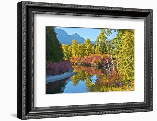 Autumn color, White River, Wenatchee National Forest, Washington State, USA-Michel Hersen-Framed Photographic Print
