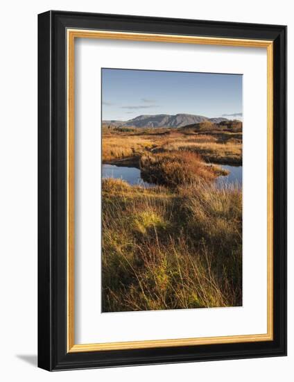 Autumn color with mountains in Thingvellir National Park, UNESCO World Heritage Site, Iceland, Pola-Jon Reaves-Framed Photographic Print