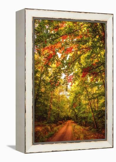Autumn Colordul Path-Philippe Sainte-Laudy-Framed Premier Image Canvas