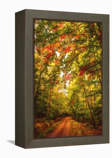 Autumn Colordul Path-Philippe Sainte-Laudy-Framed Premier Image Canvas