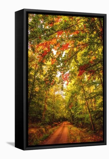 Autumn Colordul Path-Philippe Sainte-Laudy-Framed Premier Image Canvas