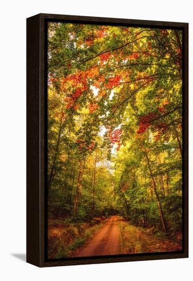 Autumn Colordul Path-Philippe Sainte-Laudy-Framed Premier Image Canvas