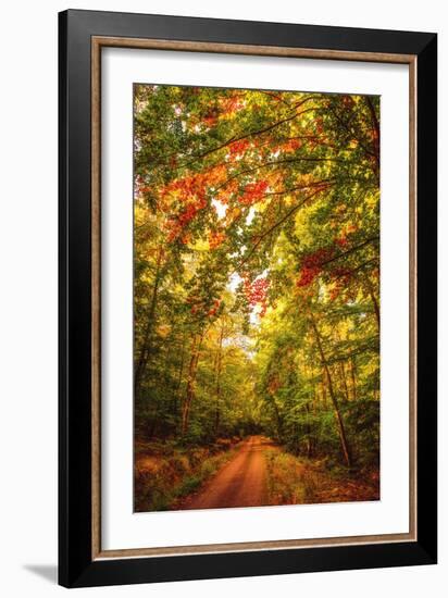 Autumn Colordul Path-Philippe Sainte-Laudy-Framed Photographic Print