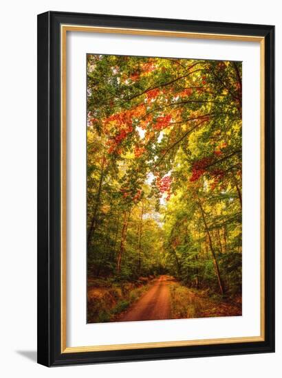 Autumn Colordul Path-Philippe Sainte-Laudy-Framed Photographic Print