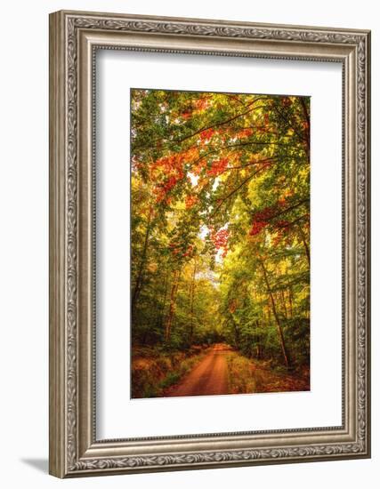 Autumn Colordul Path-Philippe Sainte-Laudy-Framed Photographic Print