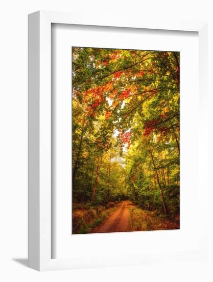 Autumn Colordul Path-Philippe Sainte-Laudy-Framed Photographic Print