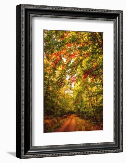 Autumn Colordul Path-Philippe Sainte-Laudy-Framed Photographic Print