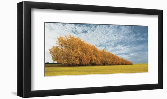 Autumn Colors 1-Carlos Casamayor-Framed Art Print