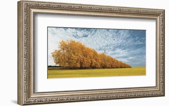 Autumn Colors 1-Carlos Casamayor-Framed Art Print