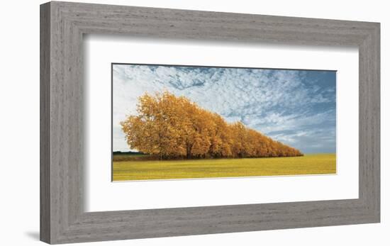 Autumn Colors 1-Carlos Casamayor-Framed Art Print