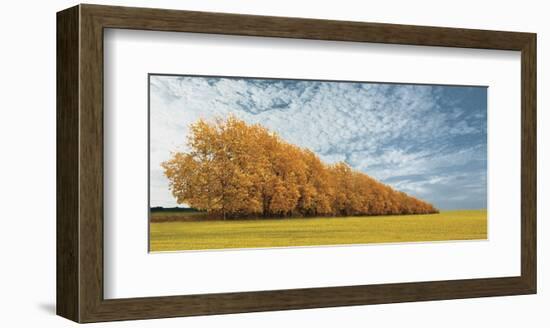 Autumn Colors 1-Carlos Casamayor-Framed Art Print