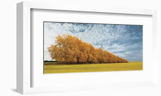 Autumn Colors 1-Carlos Casamayor-Framed Art Print