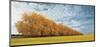 Autumn Colors 1-Carlos Casamayor-Mounted Art Print