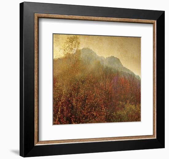 Autumn Colors 2-Carlos Casamayor-Framed Art Print