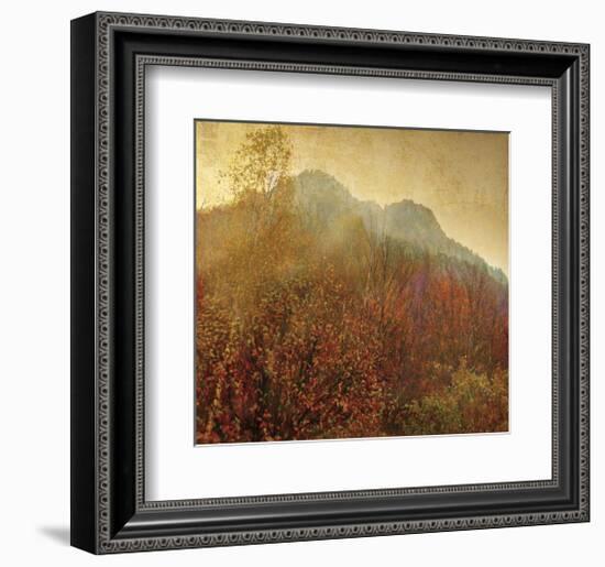 Autumn Colors 2-Carlos Casamayor-Framed Art Print