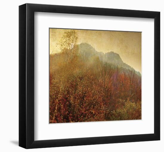 Autumn Colors 2-Carlos Casamayor-Framed Art Print