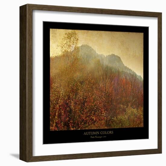 Autumn Colors 2-Carlos Casamayor-Framed Giclee Print