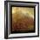 Autumn Colors 2-Carlos Casamayor-Framed Giclee Print