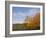 Autumn Colors accent farm buildings near Chippewa Falls, Wisconsin, USA-Chuck Haney-Framed Photographic Print