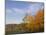 Autumn Colors accent farm buildings near Chippewa Falls, Wisconsin, USA-Chuck Haney-Mounted Photographic Print