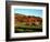 Autumn Colors and Farm Cows, Vermont, USA-Charles Sleicher-Framed Photographic Print