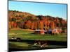 Autumn Colors and Farm Cows, Vermont, USA-Charles Sleicher-Mounted Photographic Print