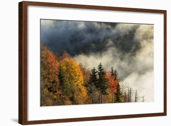 Autumn Colors and Mist at Sunrise, North Carolina-Adam Jones-Framed Photographic Print