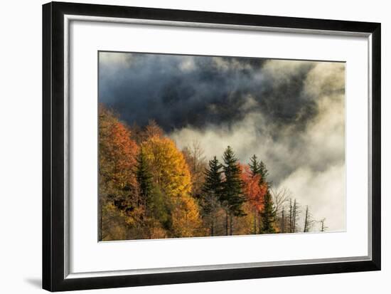 Autumn Colors and Mist at Sunrise, North Carolina-Adam Jones-Framed Photographic Print