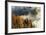 Autumn Colors and Mist at Sunrise, North Carolina-Adam Jones-Framed Photographic Print