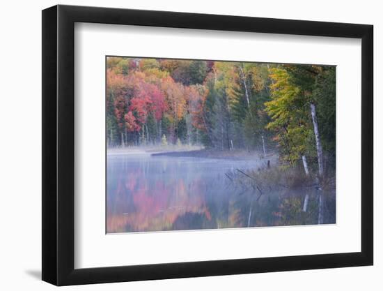 Autumn colors and mist on Council Lake at sunrise, Hiawatha National Forest, Michigan.-Adam Jones-Framed Photographic Print