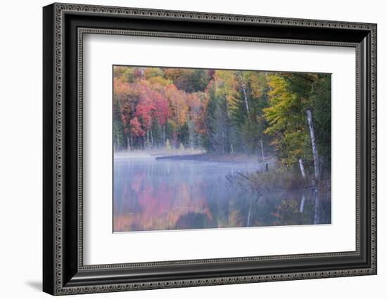 Autumn colors and mist on Council Lake at sunrise, Hiawatha National Forest, Michigan.-Adam Jones-Framed Photographic Print