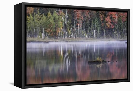 Autumn colors and mist on Council Lake at sunrise, Hiawatha National Forest, Michigan.-Adam Jones-Framed Premier Image Canvas