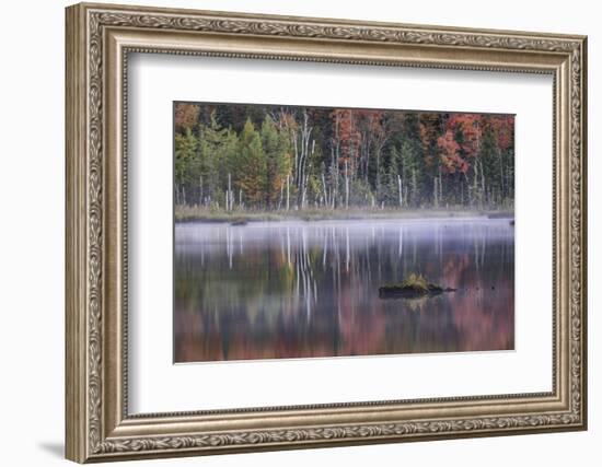 Autumn colors and mist on Council Lake at sunrise, Hiawatha National Forest, Michigan.-Adam Jones-Framed Photographic Print