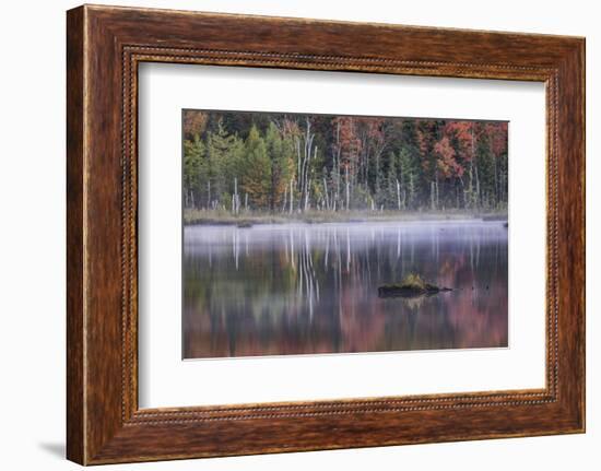 Autumn colors and mist on Council Lake at sunrise, Hiawatha National Forest, Michigan.-Adam Jones-Framed Photographic Print