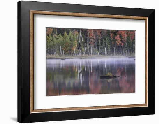 Autumn colors and mist on Council Lake at sunrise, Hiawatha National Forest, Michigan.-Adam Jones-Framed Photographic Print