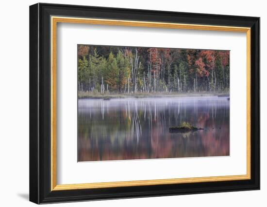 Autumn colors and mist on Council Lake at sunrise, Hiawatha National Forest, Michigan.-Adam Jones-Framed Photographic Print