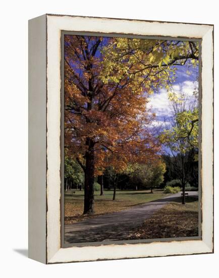 Autumn Colors and Roadway, Bernheim Forest and Arboretum, Clermont, Kentucky, USA-Adam Jones-Framed Premier Image Canvas