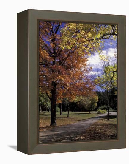 Autumn Colors and Roadway, Bernheim Forest and Arboretum, Clermont, Kentucky, USA-Adam Jones-Framed Premier Image Canvas