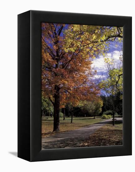 Autumn Colors and Roadway, Bernheim Forest and Arboretum, Clermont, Kentucky, USA-Adam Jones-Framed Premier Image Canvas