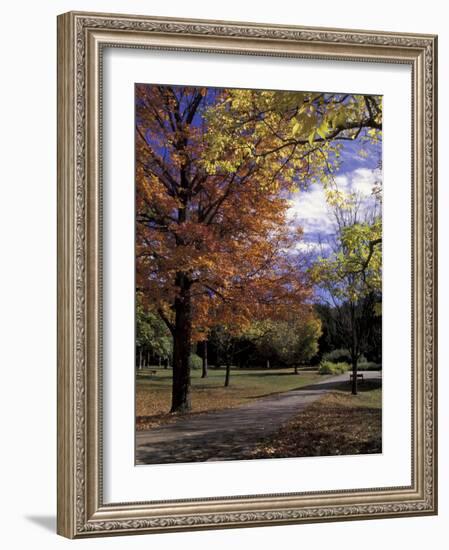 Autumn Colors and Roadway, Bernheim Forest and Arboretum, Clermont, Kentucky, USA-Adam Jones-Framed Photographic Print