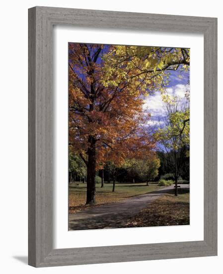 Autumn Colors and Roadway, Bernheim Forest and Arboretum, Clermont, Kentucky, USA-Adam Jones-Framed Photographic Print