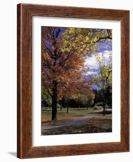 Autumn Colors and Roadway, Bernheim Forest and Arboretum, Clermont, Kentucky, USA-Adam Jones-Framed Photographic Print