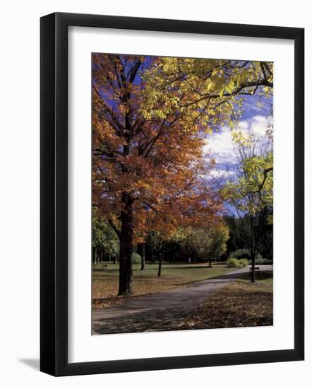Autumn Colors and Roadway, Bernheim Forest and Arboretum, Clermont, Kentucky, USA-Adam Jones-Framed Photographic Print