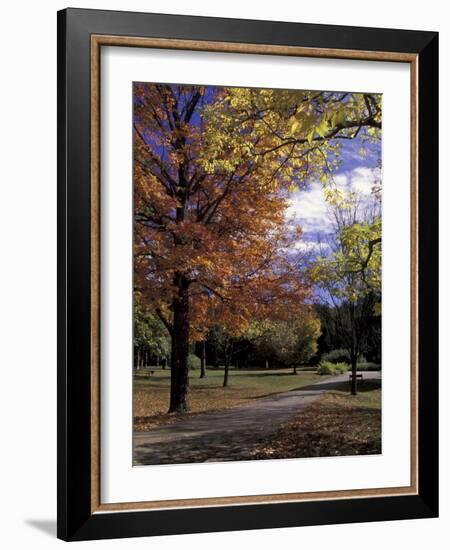 Autumn Colors and Roadway, Bernheim Forest and Arboretum, Clermont, Kentucky, USA-Adam Jones-Framed Photographic Print